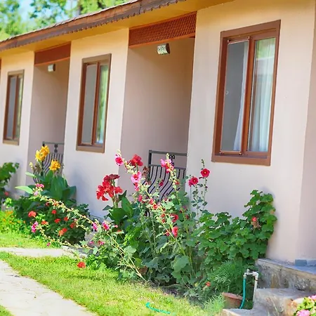 Incir Apart Mesudiye (Datca)