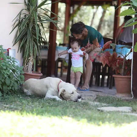 Aparthotel Incir Apart