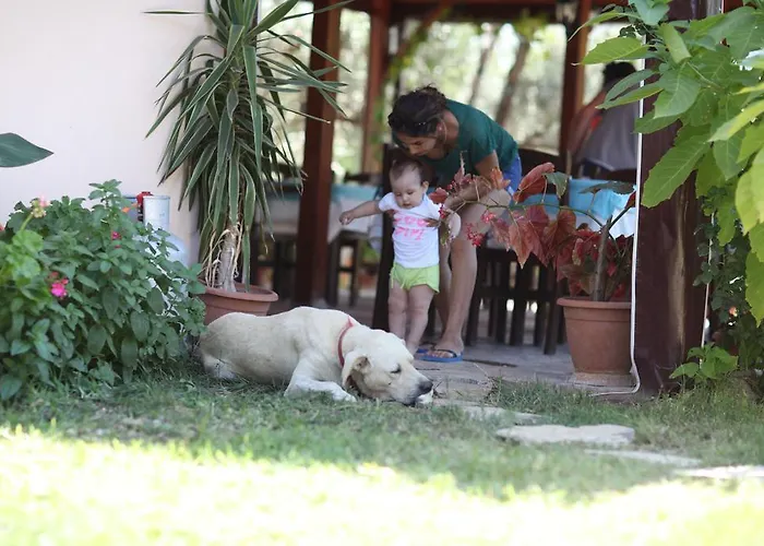 شقة فندقية Incir Apart