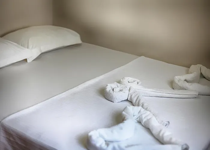 شقة فندقية Incir Apart ميسوديه